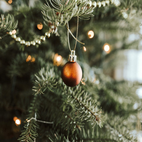 Christmas Trees - Blue Spruce