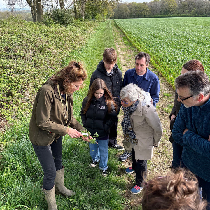 Spring Foraging Walks at Bruern Farms with Leslie Astor, March-May Dates