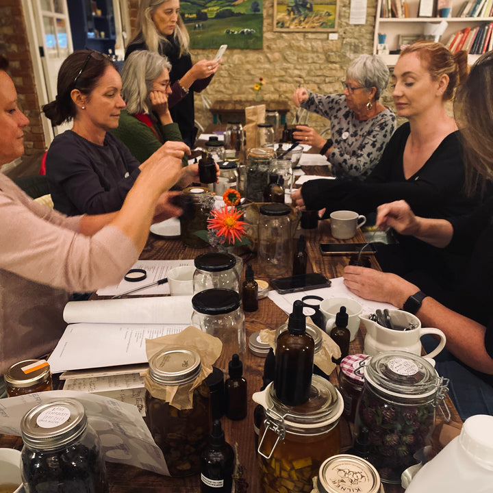 Learn to Make Fire Cider with Fifield Road Apothecary Thursday Sept. 18th, 7-9 pm