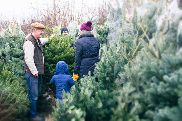 Milton Market Christmas Edition!