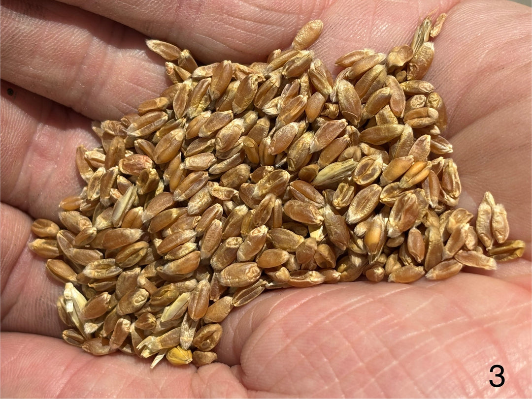 Mulika Flour