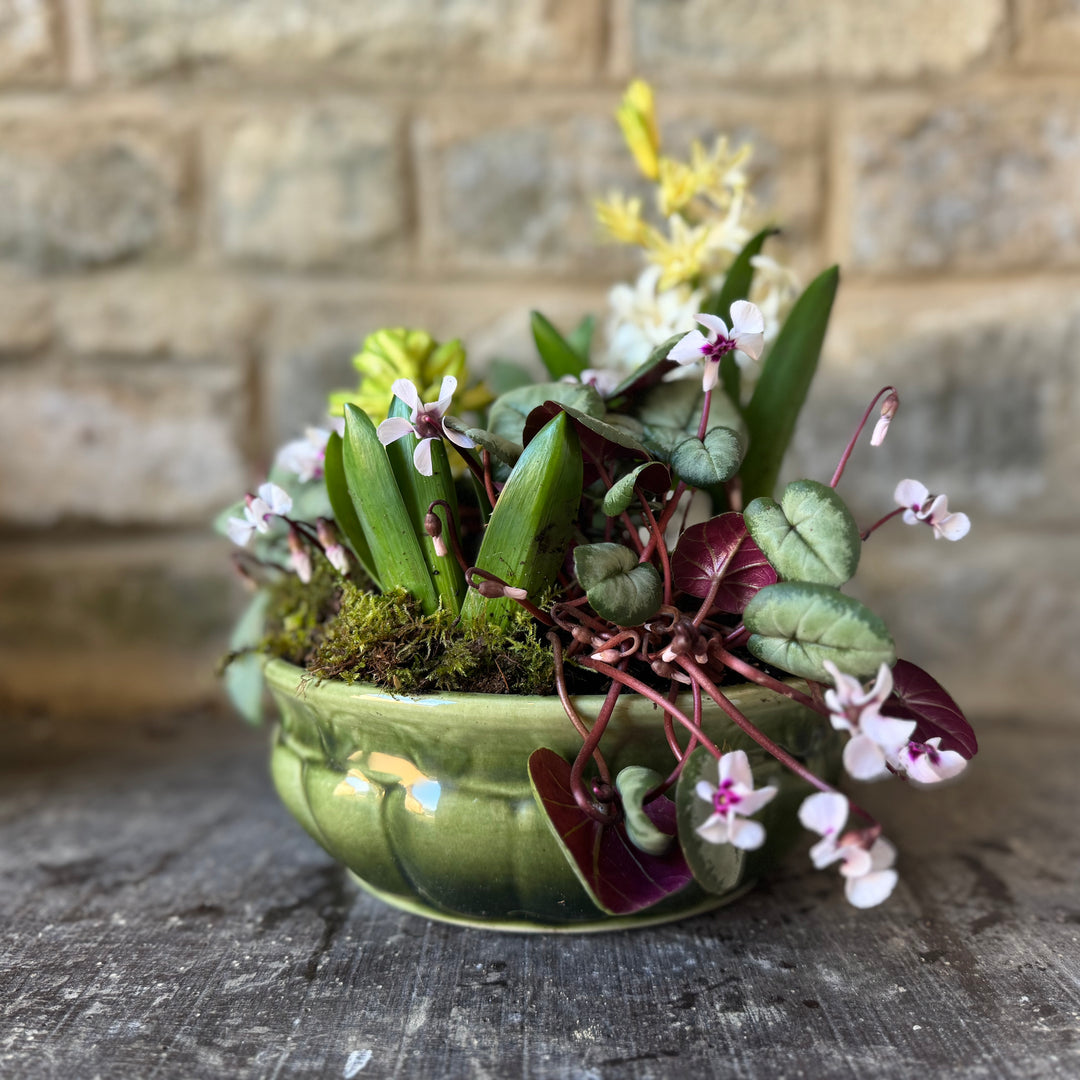 Spring Bulb Arranging Workshop