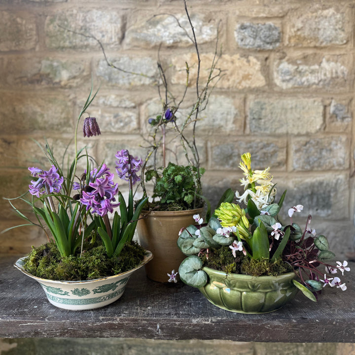 Spring Bulb Arranging Workshop